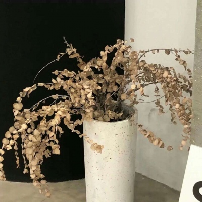 兽设场景氛围营造兽圈群